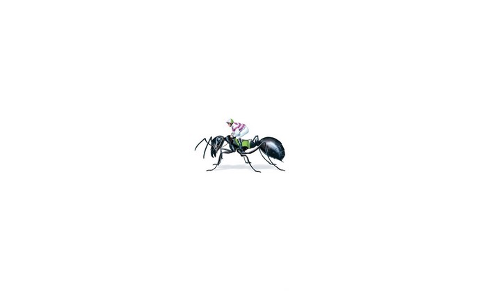 Ant with a jockey riding it