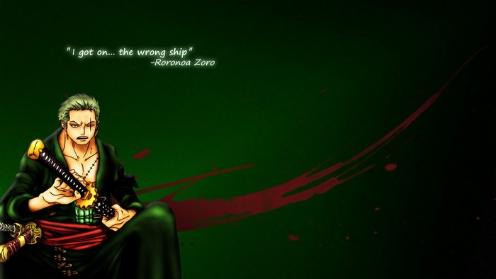 Roronoa Zoro from One Piece Samurai