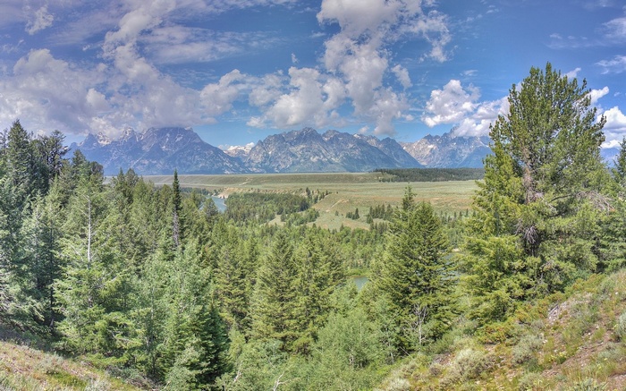 Grand Teton National Park Landscape