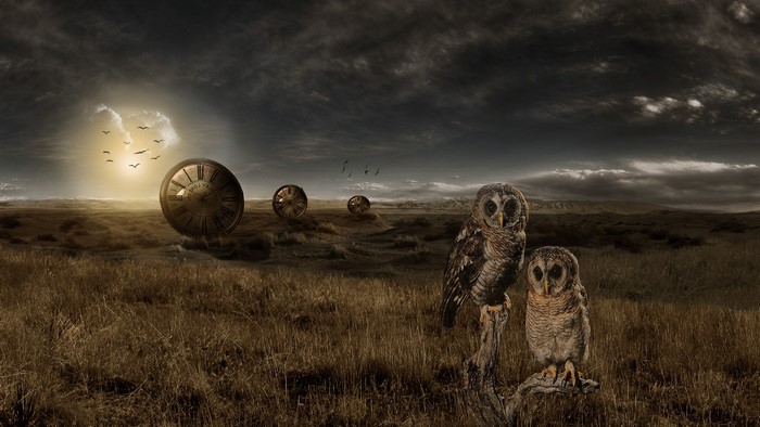 Surreal landscape with clocks and owls