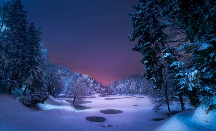 Winter Night Snow-Covered Forest Landscape