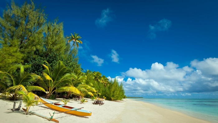 Tropical island beach with palm trees and a canoe