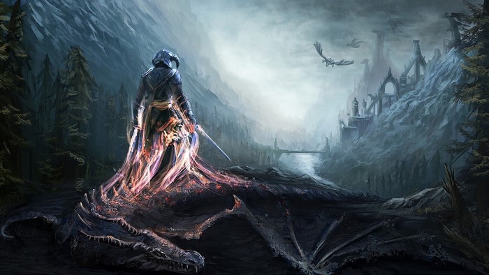 Dragonborn from The Elder Scrolls V Skyrim with dragon