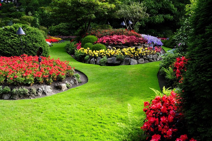 Vibrant Garden with Colorful Flowers and Lush Greenery