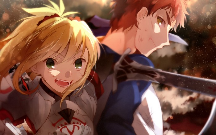 Mordred and Shirou Emiya from Fate Series