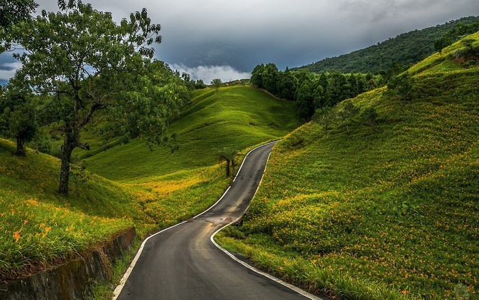 Winding road through rolling green hills with flowers
