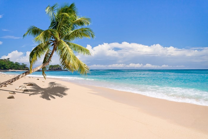 Tropical beach with palm tree and turquoise ocean