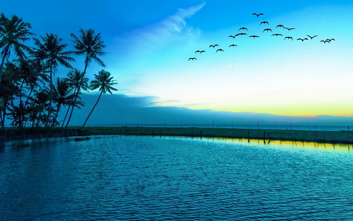 Sunrise Over Serene Lake with Flying Birds