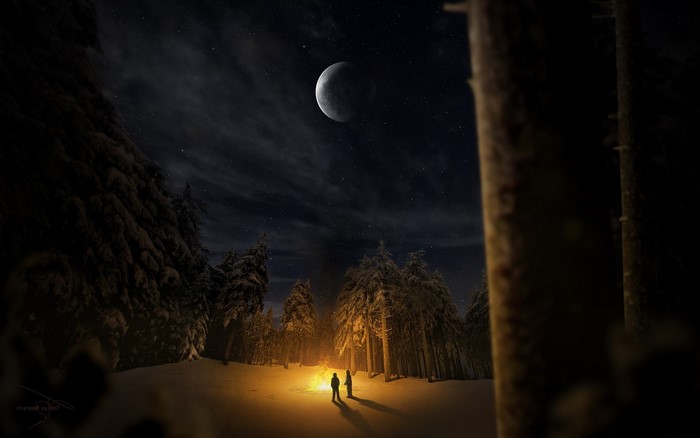 Two people by a campfire in a snowy forest at night