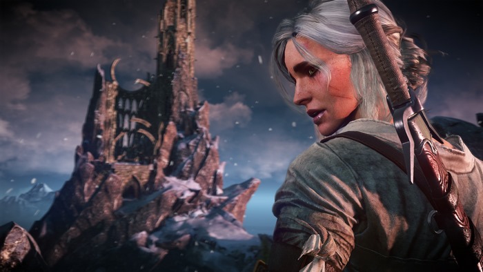 Ciri from The Witcher 3 Wild Hunt