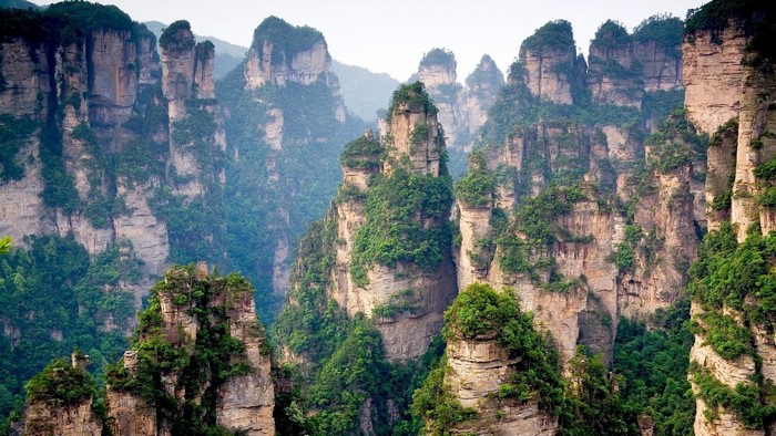 Towering sandstone pillars covered in green trees in Zhangjiajie National Forest Park, China