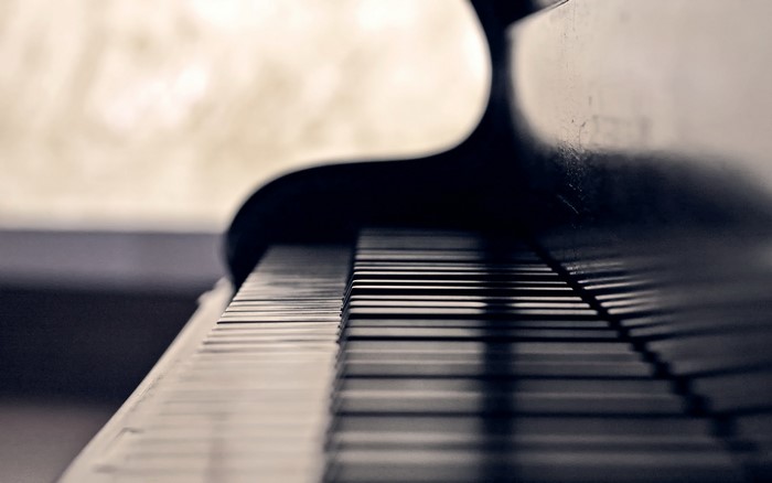 Close-up of a piano keyboard and its body