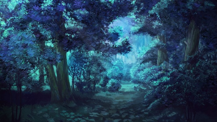 Enchanting Forest at Night