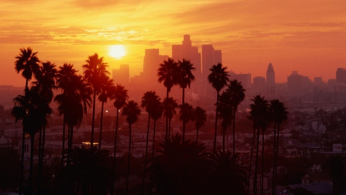 Los Angeles skyline at sunset with palm trees