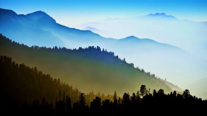 Misty mountains and forest landscape