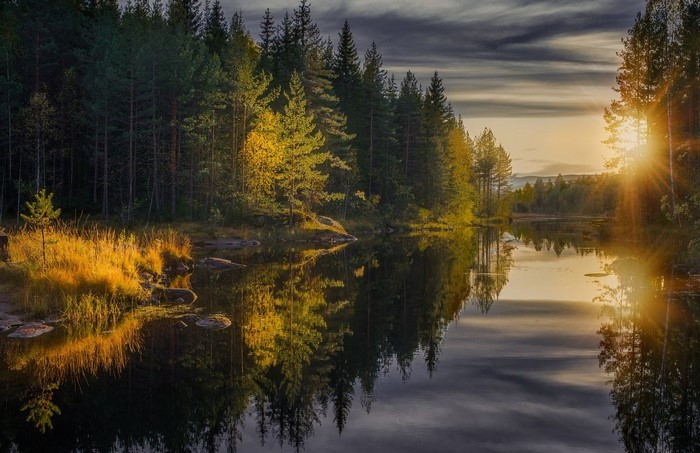 Sunset over a calm river in a pine forest
