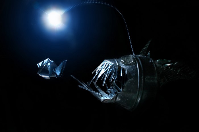 Anglerfish deep sea creature with lure