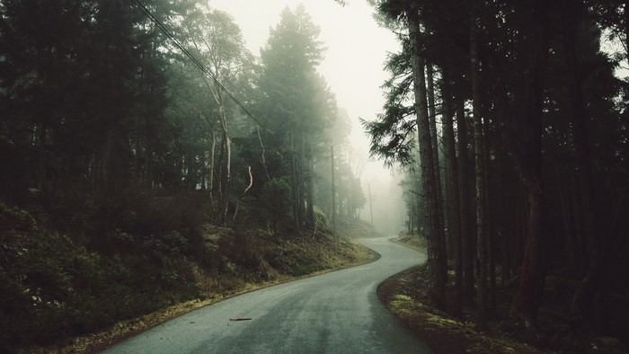 Winding road through a foggy forest