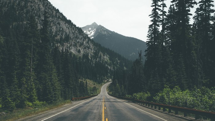 Road through a forest in the mountains