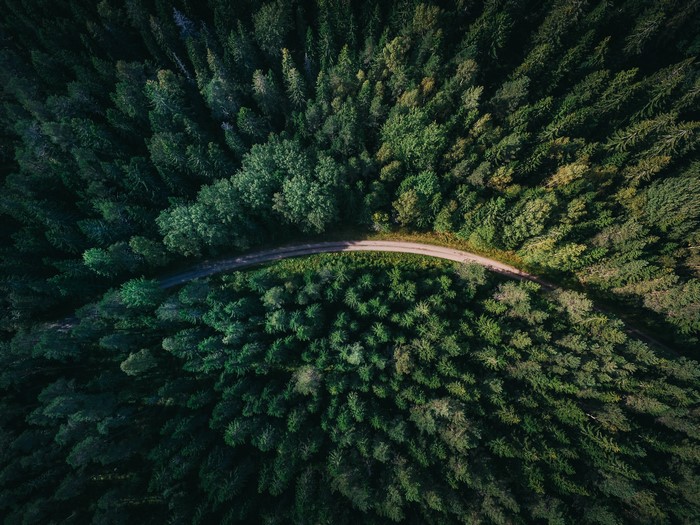 Aerial view of a winding road through a dense forest