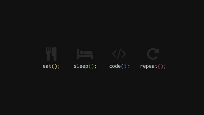 Eat Sleep Code Repeat Programming Concept