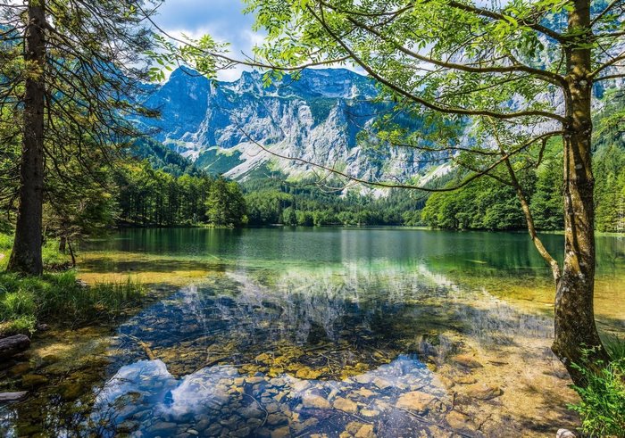 Mountain lake with forest and rocky shore