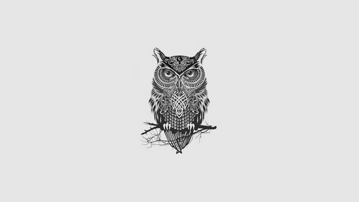 Monochrome owl tattoo on a branch