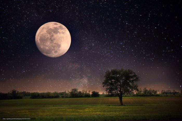 Full moon over a field at night