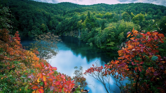 Autumn leaves frame a tranquil lake surrounded by a dense forest.