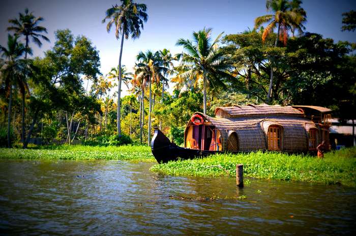 Houseboat docked in Kerala with palm trees and water