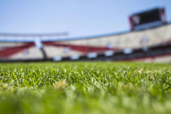 Green grass in front of a stadium