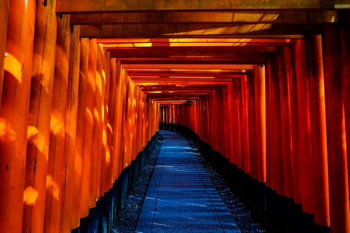 Fushimi Inari Taisha Temple Torii Gates in Japan 4K