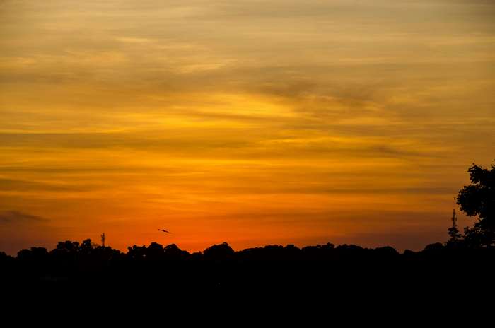 Sunset 4K