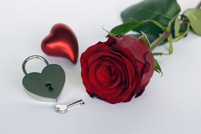 Red rose with heart lock and key
