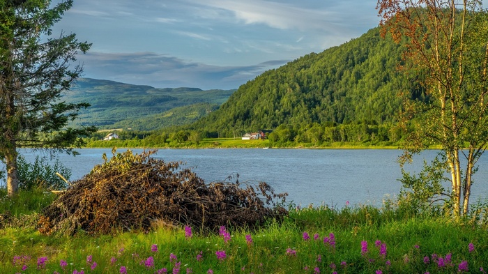 Lake and forested hills with houses and trees