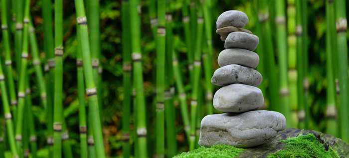 Stacked stones in front of bamboo stalks