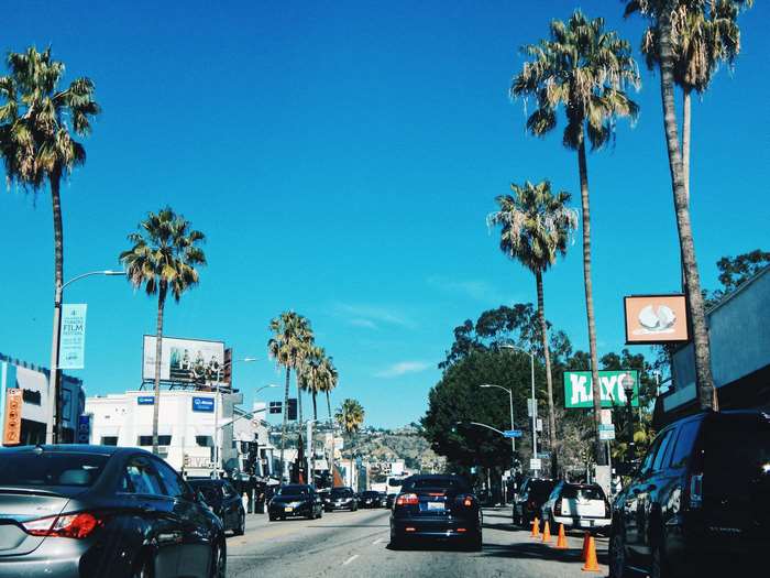 Palm Trees and Traffic in Los Angeles 4K