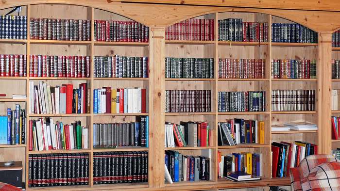 Cozy Home Library with Wooden Bookcase