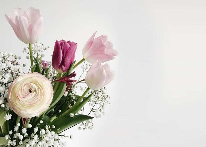Pink and purple tulips with a ranunculus flower