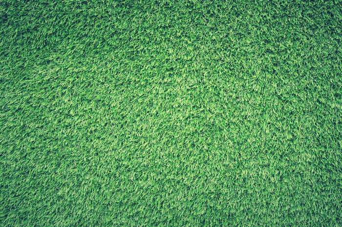 Green grass texture 4K