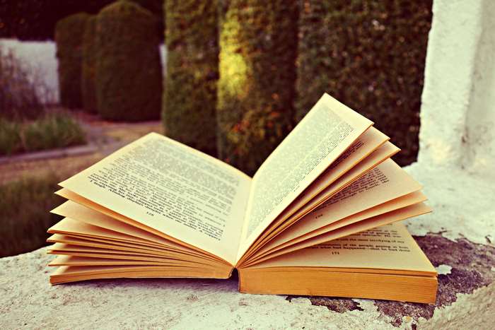 Open book with pages fanned out on a stone ledge