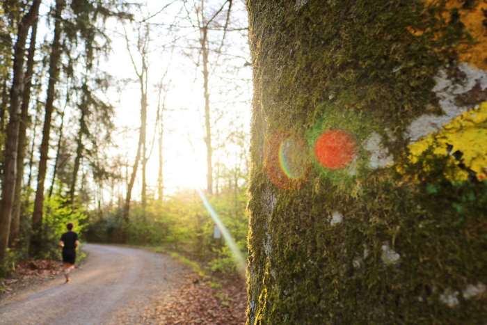 Man running on a forest path at sunset