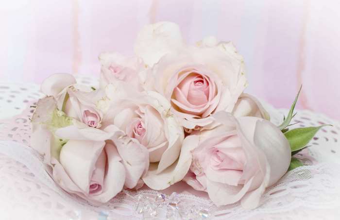 Bouquet of Dusky Pink Roses on Lace