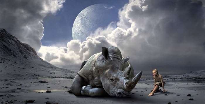 Girl and Rhino under a Giant Moon