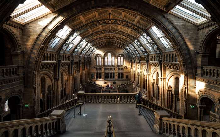 Natural History Museum interior, London, United Kingdom 4K