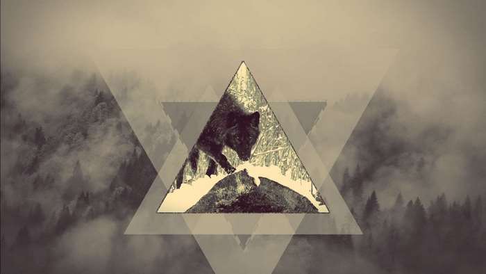 Wolf in a snowy forest with geometric triangles