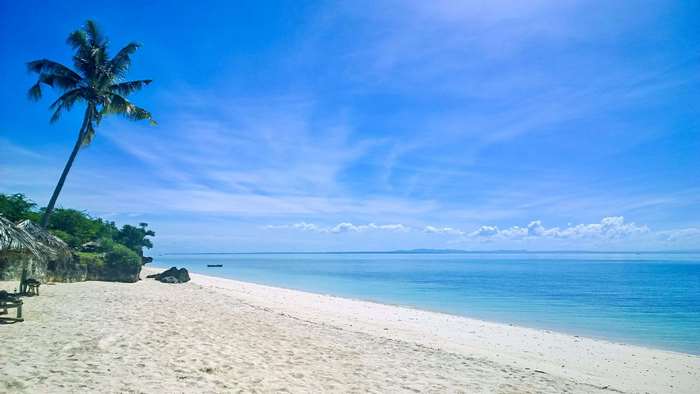 Palm tree on a white sand beach in Bantayan, Cebu, Philippines