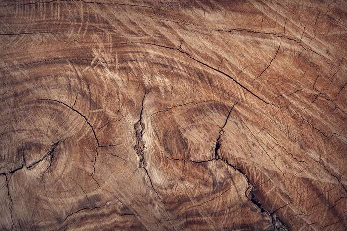 Close up of brown wood texture with cracks