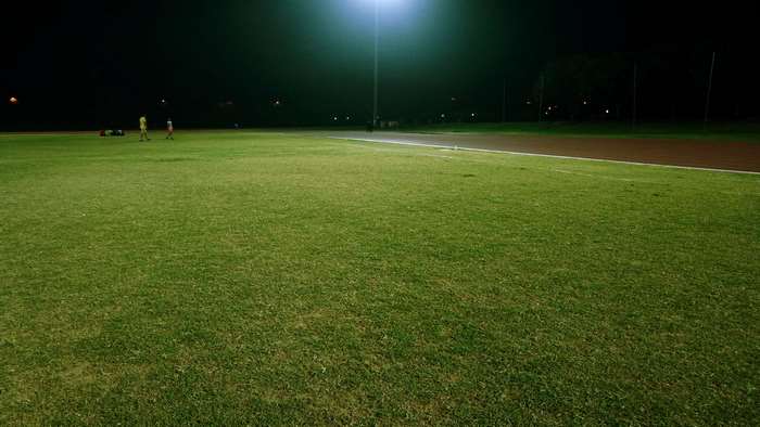 Nighttime View of a Grassy Field with Lights