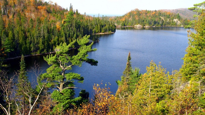 Lake surrounded by autumn forest and evergreen trees